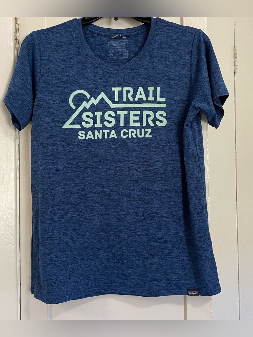 Patagonia Blue Trail Sisters Santa Cruz Graphic Tee medium